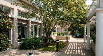 Outdoor courtyard with trees and seating areas