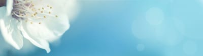 Emerald Crest Memory Care Minnetonka