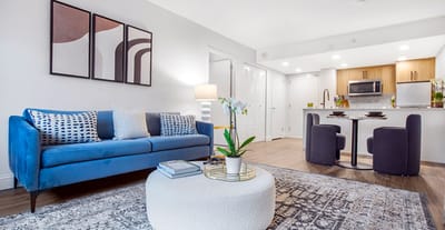 Modern living room with stylish furniture and decor