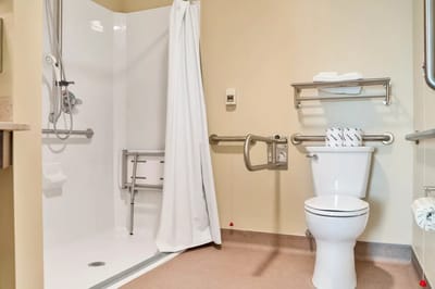 Accessible bathroom with shower and safety features