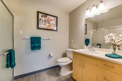 Bright bathroom with floral decoration and teal accents