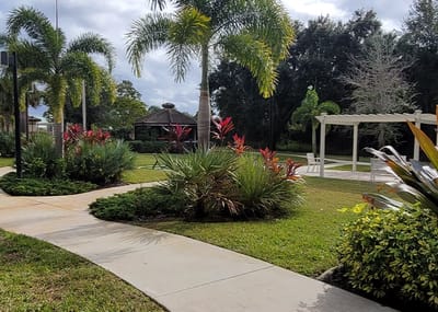 Pathway through a landscaped outdoor area with plants