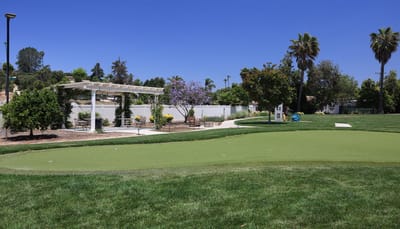 Well-maintained outdoor garden space with seating.