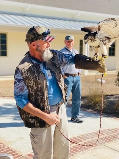 A staff member handling a hawk during an outdoor event