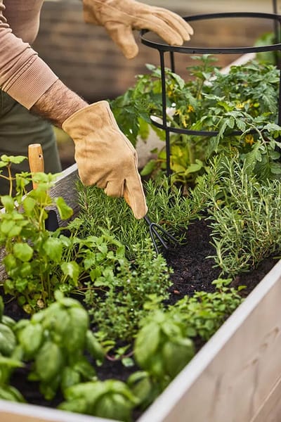 Hands gardening in a community garden area