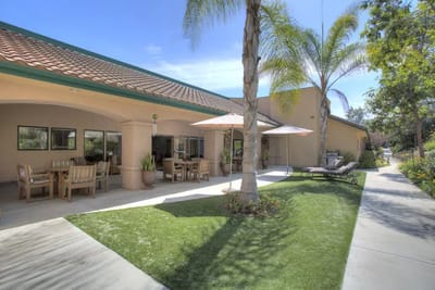 Outdoor seating area with palm trees and umbrellas