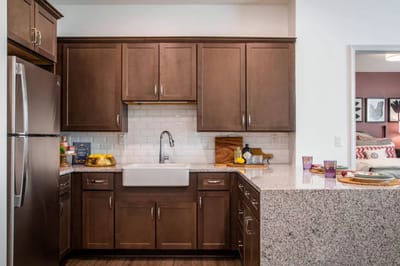 Modern kitchen interior with dark wood cabinetry