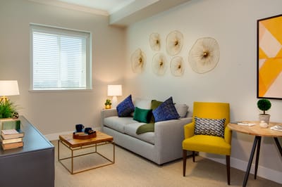 Cozy living room with modern decor and plants
