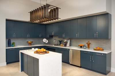 Modern kitchen interior with fruits on a counter