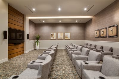 Cozy movie room with comfortable seating