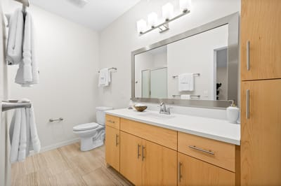 Modern bathroom with wooden cabinetry and fixtures