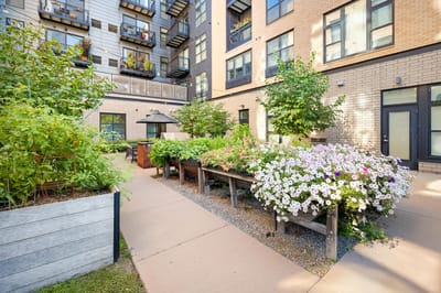 Beautiful garden area with flowers and greenery