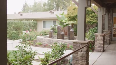 Serene garden area with a water feature