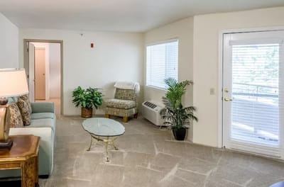 Bright interior lounge area with a sofa and plants
