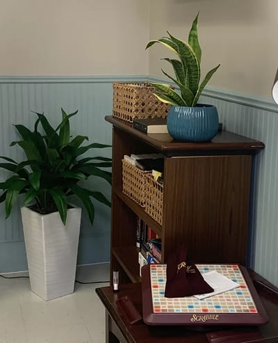 Cozy interior space with plants and games
