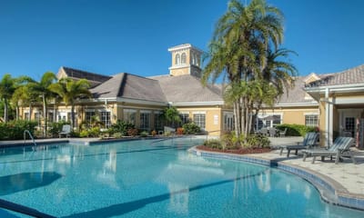 Swimming pool area with palm trees and building