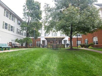 Outdoor space with seating and greenery