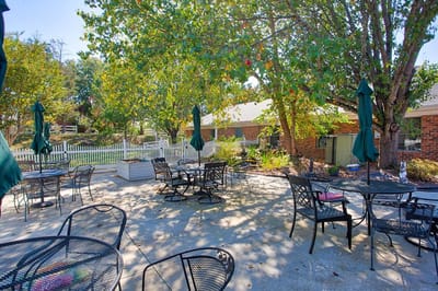 Outdoor seating area with tables under trees