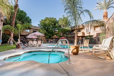 Outdoor pool area with palm trees and lounge chairs