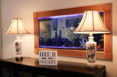 Interior view with an aquarium and decorative lamps