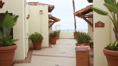 Outdoor walkway with potted plants and sea view
