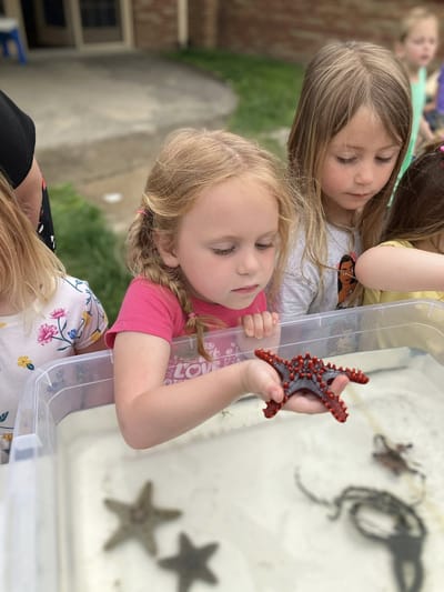 Children engaging with marine life outdoors.