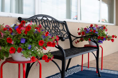 Black bench with colorful flower pots on either side