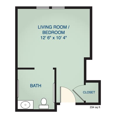 Floor plan of a living room/bedroom layout