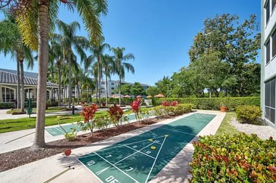 Outdoor shuffleboard courts surrounded by palm trees
