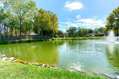 Pond with fountain and trees in a residential area