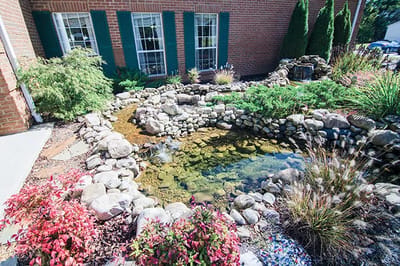 A serene outdoor pond area with rocks and plants