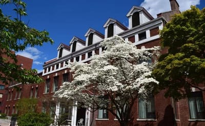Exterior view of a senior living facility with flowering trees