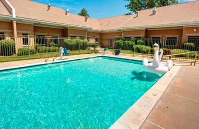 Outdoor pool area with inflatable swan float