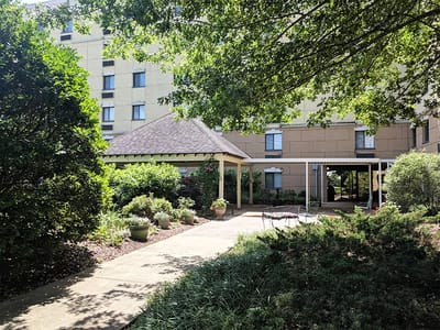 A serene outdoor space with gardens and building entrance