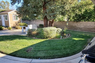 Well-maintained garden area with trees and greenery