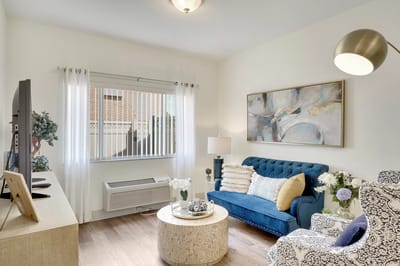 Comfortable living room with blue sofa and artwork