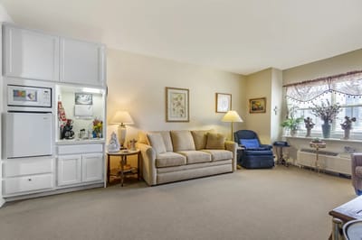 Cozy interior living area with sofa and kitchenette
