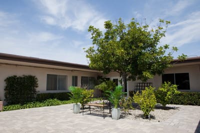 Outdoor area with trees and seating at the facility