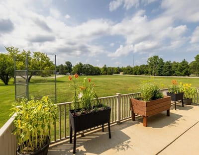 View of a landscaped outdoor area with planters