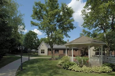 Outdoor gazebo in a community garden area