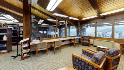 Interior view of a cozy library with seating