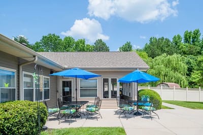 Sunny outdoor seating area with blue umbrellas