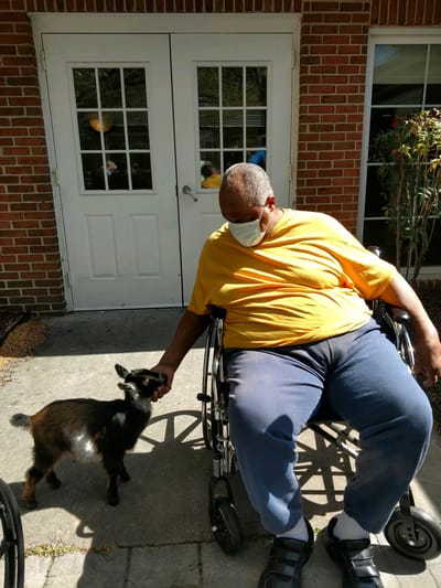 Resident petting a goat outside