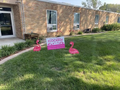 A sign in a garden area with flamingo decorations
