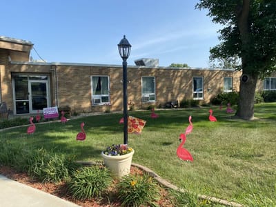 Outdoor area with pink flamingo decorations