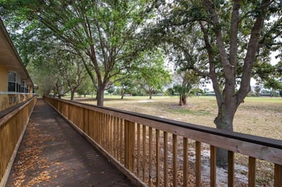 Wooden walkway surrounded by trees in a peaceful outdoor area