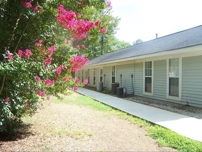 Flowering bushes near the facility building