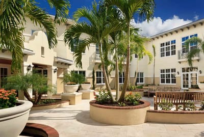 Beautiful outdoor courtyard with palm trees and flowers