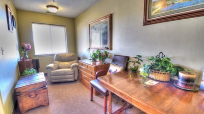Cozy interior view of a resident room with plants