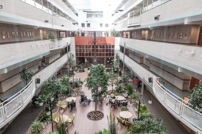View of a bright, open interior space with plants and seating